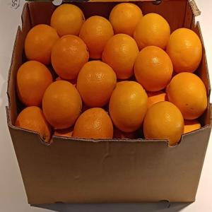  Fruits Et Légumes - fruits et légumes bonjour, ----nous sommes une société spécialisée dans l exportation fruit et légumes de qualité supérieure.orange navel et valencia maroc late--------qualité garantie----large choix de saveurs----conditionnement adapté à vos demand
