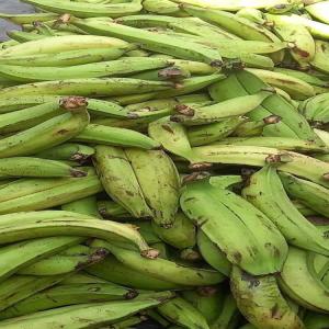  Avendre Banane (alloco) Et Attieké - fruits et légumes toutes mes salutations a vous j'ai des tonnes a banane (alloco) et attiek&eacute; de la tr&egrave;s bonne qualit&eacute; disponible partout au mali 