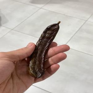  Carob - fruits secs et graines grillées j'ai de la caroube pour toi. si tu en as besoin,  envoie moi un mail. produit algérien de bonne qualité