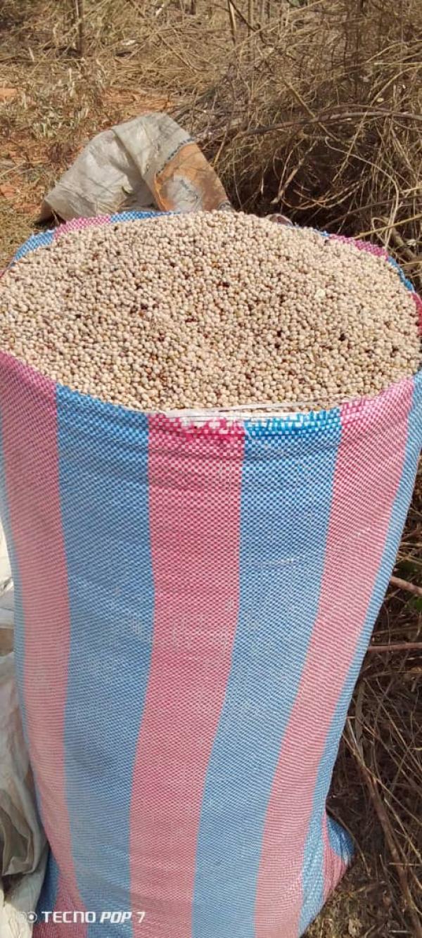  Besoin Des Partenaires Financiers - céréales nous avons un projet de transformation des produits locaux le s&eacute;same le soja et le noix de cajou dont le burkina faso est leader au niveau de l'afrique de l'ouest en mati&egrave;re de bonne qualit&eacute; nous envisageons implanter des usines de transformation de ces produits sur place et leu