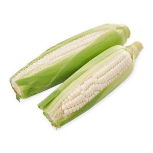 Maïs Blanc Non Ogm - fruits et légumes bonjour,  nous pouvons vous founir en maïs blanc non ogm. si vous etes intéressé merci de nous contacter et de nous indiquer les quantités souhaitées en spot ou par contrat d'une année ainsi que la destination. 