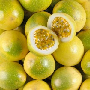  Vente De Fruit De La Passion - fruits et légumes bonjour chers tous. nous mettons en vente de la bonne qualité de fruits de la passion. nous vendons en gros,  semi gros et en détail.n hésitez pas à nous contacter en cas de besoin. bien cordialement à vous 