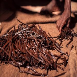  Prospection Dans Le Dommaine De La Vanille - épices aromates recherche de futurs clients dans le monde de la vanille de madagascar clients particuliers et pro pour la vente de gousses de vanille de qualit&eacute; bourbon premium