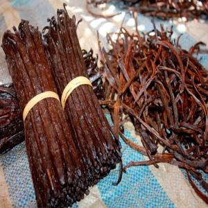  Authenticity Of Madagascar Vanilla - aromatic spices discover the authenticity of madagascar vanilla!----as the president of the cooperative of peasant vanilla producers in madagascar,  i am proud to present our unique know-how. our cooperative brings together 2, 354 passionate members,  all committed to producing the best vanilla in the world,  in the re