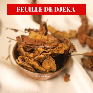  Feuilles Séchées De Djeka - matiere vegetale nous livrons à l'international des feuilles séchées de djéka . disponibles dans des emballages de 10kg pret à livrer partout avec un certificat phyto sanitaire . nous recherchons donc des clients grossistes pour un contrat régulier de livraison.--minimum de 