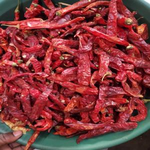  Les Sacs De Piment Rouge Séché Nigeria) - matiere vegetale je veux des fournisseurs fiables qui vont me fournir des sacs de piment rouge s&eacute;ch&eacute; en gros que je pourrais revendre au b&eacute;nin. 