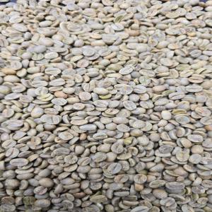  Arabica And Robusta Coffee Beans - coffee cocoa tea arabica and robusta coffee beans--1.robusta coffee screen 13 - 18,  grade 2--specifications--1. arabica coffee grade 1,  screen18--moisture- 12.5% max--admixture -0.5% max--black & broken beans- 2%--above screen 18- 90%--2.arabica coffee bean -grade 1,  screen 16--moisture -12.5% max.--admixture -0.5% 
