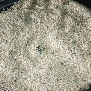  Sesame Seeds - seed plant seed commodity- sesame seeds---price- $1, 650 per mt---style- natural---protein- 17.7g/100g---purity- 99.95% max---infestation- none---ffa= 2%---auto dried=96%---moisture- 3.49%---impurities- 0.021% max---color- 99.90% pure white ---oil content- 51.96%--features- hand selected,  no pesticides,  no speckle,  