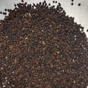 BLACK PEPPER FOR SALE  - seed plant seed black pepper for sale --moisture - 13 / 13.5% max--admixture - 1/0.5% max--density- 500gl & 550 gl--moisture- 12.5% max--foreign matter- 0.2% max--no mouldy berries,  no fungus--pp bag- 25/50/60 kgs net or as per customers  requirement--quantity- 13.5/15mts per 20fcl--note --only serious buyer or buy