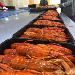 Vente En Gros Écrevisses Surgelées En Sauce - coquillage crustacé les écrevisses élevées dans leur environnement naturel dans le lac e irdir/isparta.--cuites à la vapeur et congelées dans une sauce à l'aneth.--ingrédients - écrevisses cuites à la vapeur avec coquille,  saumure (eau potable,  sel de table