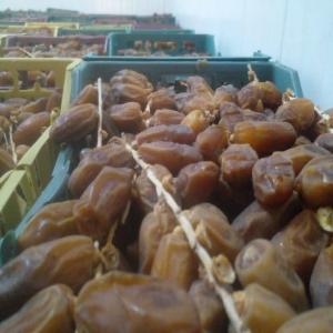  Deglet Nour - fruits et légumes on met en vente des dattes deglet nour tunisiennes branch&eacute;es ou en arjoun. l'emballage est en carton 1kg 3kg et 5 kg. veuillez nous contacter pour passer vos commandes ou toute autre information.
