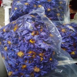  Grossiste Lotus Bleu Tisane Grade Alimentaire - café cacao thé nous proposons des lotus bleu photo de l'annonce contractuelle,  en grade alimentaire,  conforme aux exigences européennes pour application directe,  usage culinaire divers,  pâtisserie,  infusion,  extraction... fleurs séchées présentées entières,  de diff&e