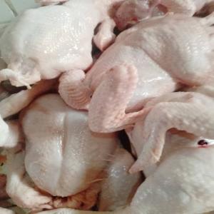  Gros Poulets De Chair De 45jours Et Poussins - autres nous &eacute;levons des poulets de chair sains dans le strict respect des r&egrave;gles en mati&egrave;re d'&eacute;levage industriel. poids 1, 5kg. prix 2800. --