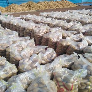  Premium Egyptian Potatoes - fruits and vegetables product- fresh potatoes--origin- egypt-- varieties available-----spunta   long shape,  excellent for table consumption and export--cara   high yield,  resistant,  ideal for multiple uses--lady rosetta   perfect for crisp processing due to its low sugar content--nicola   waxy texture,  great for salads a