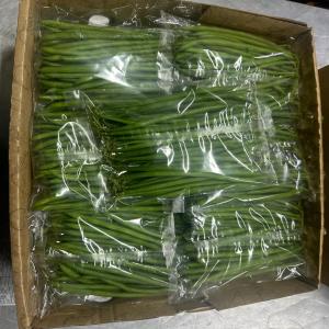  Fresh French Beans From Kenya A1 Quality - fruits and vegetables  product- french beans (fine & extra fine)-- origin- kenya-- variety- premium hand-picked french beans,  ideal for fresh markets and processing-- seasonality- available all year round for a consistent supply-- packaging-----3 kg cartons for optimal freshness--140 cartons per pallet-- quality- a1   ca