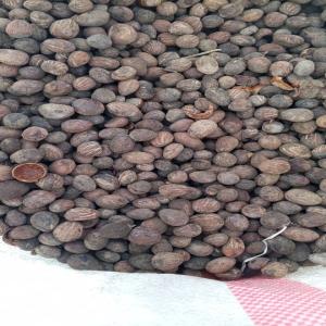  Karité Bio - autres j'ai des karité bio plus de 400 tonnes à vendre à un prix favorable --veillez me contacter --merci 