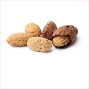  Good Quality Healthy Cola Nut Bitter Kola Nut - roasted seeds and nuts storage type cool dry place--specification bitter kola--shelf life 1 year--manufacturer own--ingredients none--content natural