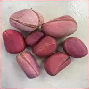  Organic Premium Quality Kola Nuts Wholesale - roasted seeds and nuts storage type cool and dry store--specification kola nut--shelf life lifetime--manufacturer kolanut--ingredients kola nut--content kola nut