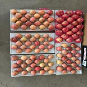  Pommes Rouges Prix Compétitif! - fruits et légumes nous proposons des pommes rouges de haute qualité,  récoltées dans des conditions optimales pour garantir une saveur sucrée et une texture croquante. disponibles en grande quantité,  nos pommes rouges sont idéales pour les grossistes,  détaillants et tra
