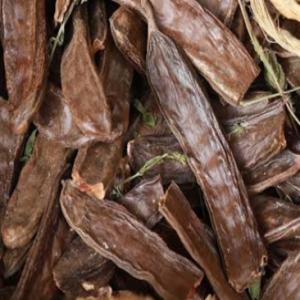  La Caroube - fruits secs et graines grillées --je vends de la caroube. j'en ai environ 40 tonnes. la qualit&eacute; parle d'elle-meme 5 euros kg @ ismail alg&eacute;rienne mrhaban bikoum--