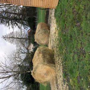  Fourrage Du Berry - aliments pour animaux balles de foin de 2024 a vendre 59 /t. r&eacute;gion centre loire avec possibilit&eacute; de livrer sur devis dans tous les d&eacute;partements. r&egrave;glement &agrave; 50% &agrave; la commande et 50% &agrave; r&eacute;ception par virement uniquement.