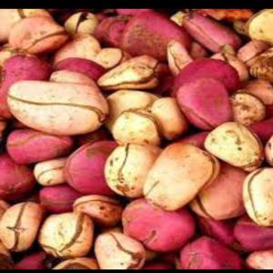 Noix De Kolas - autres nous recherchons des acheteurs de--noix de kolas prix fob port de douala $332, 51 la tonne --disponibilité ouest cameroun 