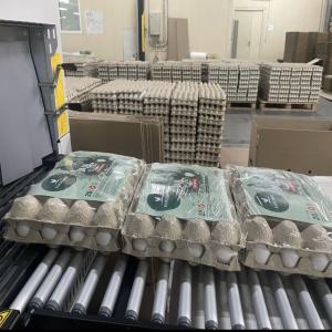  Vente Oeufs En Gros - viandes et oeufs vente oeufs en gros. uniquement par camion complet en 28 palettes . prix attractif! livraison rapide . quantite illimite ! 