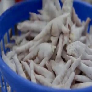  Chicken Paws Feet Mjw - viandes et oeufs client espaceagropremium  --chicken paws feet mjw  .....----bonjour,  nous vous proposons ---de 20/50 containers par mois--direct br&eacute;sil ou autres ..--actuellement (aout2025) prix pour une exp&eacute;dition sur wietnam chicken paws 1600 cif pour 20 containers par mois--pour la chine (faire dem