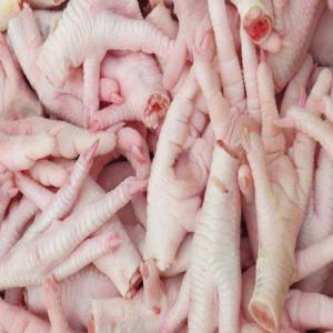  Frozen Chicken Paws - meat and eggs frozen chicken paws grade a cif any safe port /// fob brazil  price usd 2100/mt cif any safe port  origin brazil  minimum trial order quantity 5 containers (trial)  monthly capacity 500 x 40ft containers  delivery port cif any safe port in asia  inspection sgs