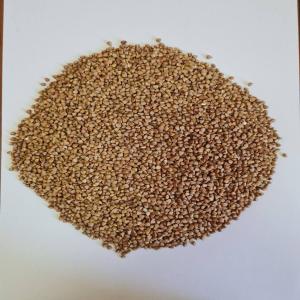  Blé Pelé Atina - céréales grossiste bulgare propose bl&eacute; pel&eacute; atina. pour plus de renseignements h&eacute;siter pas nous contacter . prix 750 la tonne exw bulgarie . 