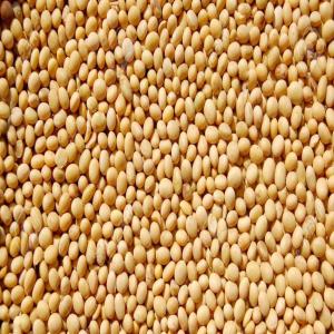  Recharge De Client Et De Partenariat - céréales bonjour &agrave; tous ! nous sommes &agrave; la recherche d'acheteurs du soja  et tourteau du soja pr&eacute;cis&eacute;ment au b&eacute;nin . si vous cherchez des produits authentiques et de premi&egrave;re qualit&eacute;,  nous sommes l&agrave; pour vous fournir. contactez-nous d&egrave;s aujourd'h