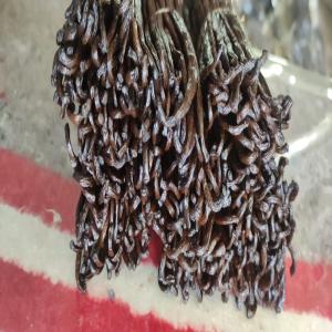  Vente De Vanille En Gousses - épices aromates    à la recherche de partenaires pour la vente de vanille !   --vous etes passionné par la vanille et souhaitez développer une activité rentable ? nous recherchons des partenaires sérieux pour commercialiser notre vanille de qualité supérieure.--  van