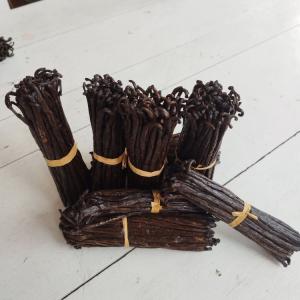  Gourmet Grade Vanilla Beans From Madagascar - aromatic spices we supply gourmet grade a vanilla beans bourbon unsplit from madagascar with specification below --moisture- 30%-35%--vanillin- 1, 6%-2, 4%--length - 14cm-22cm--shelf life - 24 months --free contact  us via whatsapp text and call for more information or need sample to test or check our vanilla pods qu