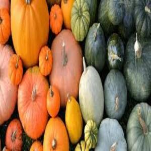  La Citrouille - fruits et légumes je mis en vente une grande quantité de la citrouille de la bonne qualité bien présentée et bien emballée --je cherche des clients sérieux pour l'exportation d'après l'algérie 