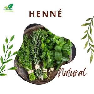  Gamme D'herbes Aromatiques - épices aromates  &agrave; vendre gamme d'herbes aromatiques  d&eacute;couvrez notre s&eacute;lection d'herbes aromatiques naturelles soigneusement s&eacute;lectionn&eacute;es pour leurs bienfaits et leur qualit&eacute; exceptionnelle. romarin thym laurier menthe s&eacute;ch&eacute;e vervein