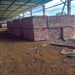  Vente De 3300 M3 D'essences Debois Divers - bois charbon fibre titre - opportunité d'investissement     3 260 m³ de bois tropicaux rares à vendre (gabon) --type d'annonce - vente --catégorie - bois charbon fibre --mots-clés - bois tropicaux,  kévazingo,  padouk,  wengé,  acajou,  investissement,  gabon--description --- nous p