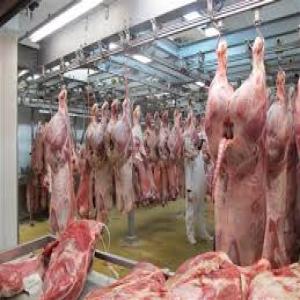  Afrique De L'ouest Acheter Un Abattoir - animaux vivants groupe international recherche à acheter un abattoir bovin / ovin en afrique de l'ouest équipé aux normes export 
