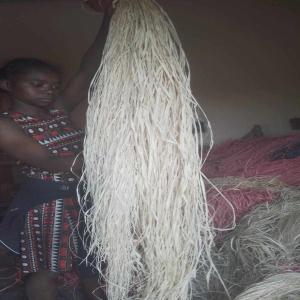  Raphia Brute De Madagascar - matiere vegetale nous sommes une exportatrice de produits locaux,  des raphia,  tous les matières première utiles pour la production des sacs( sac brute,  panier brute,  raphia,  sisal,  penjy,  des ravouls,  soies, vetiver,  ...--nous pouvons vous livrer en fréquence que vous voulez.--aussi,  n'hés
