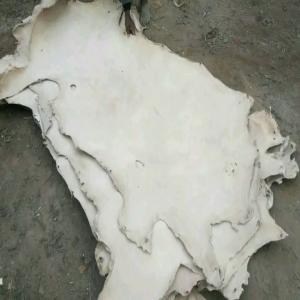  Cuir Tanné De Madagascar - autres vous avez besoin des cuirs bien tann&eacute;s qui vient de madagascar. tr&egrave;s original et bien trait&eacute; de fa&ccedil;on artisanal.--nous sommes une exportatrice des cuirs naturels --prix 10, 41euro/pi&egrave;ce