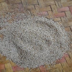  Sesame Bio - fruits secs et graines grillées nous disposons de 250kg de sesame blanc et possible en grand quatite en cas de besoin prix 12000ar le kg 