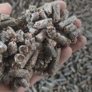  Achat Granulés Pulpe Betterave/beet Pulp Gran - aliments pour animaux achat des granulés de pulpe de betterave / beet pulp granules.----qualité requise des granulés de pulpe de betterave----  origine- egypte (en priorité)---  apparence- en vrac ou en granulés de couleur grise,  de forme et de taille variable.---  odeur- spécifi
