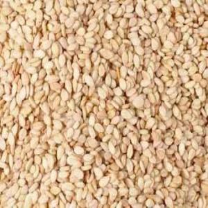  Hulled White Sesame Seeds - roasted seeds and nuts hello,  we are looking for buyers for our hulled white sesame seeds,  which we can make available to you in large quantities and at a competitive price. the type of sesame we want to sell is conventional sesame and well cleaned. for more details,  if you are interested,  please leave us a message and we