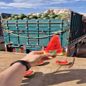  Pastèques De Zagora Qualité Premium - fruits et légumes past&egrave;ques sucr&eacute;es et juteuses de zagora. calibre de 7 &agrave;14 kg fra&icirc;cheur garantie. tres grande quantit&eacute; disponible livraison imm&eacute;diate. contactez nous d&egrave;s maintenant pour commander !