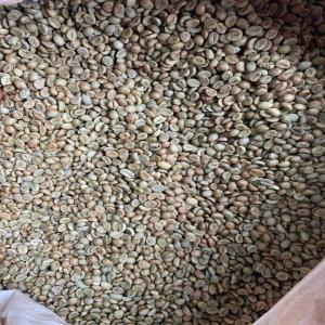  Madagascar Robusta Coffee Beans - aromatic spices robusta coffee--caffeine- 1.7-4%--mixture- 0.5% max.--broken beans- 5.0% max.--black breans- 5.0% max.--screen 13- 90% min.