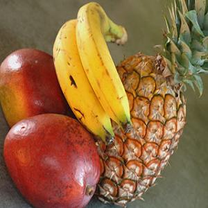  La Recherche De Fruits. - fruits et légumes je cherche des fruits comme ananas mangues et bananes en bonne qualit&eacute; et bien fra&icirc;ches pour la russie 