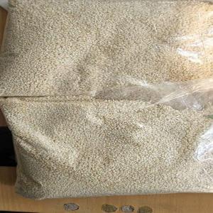  Premium Quality Natural Sesame Seeds - roasted seeds and nuts  origin- kenya --type- natural white sesame seeds----   product specifications---purity- up to 99.95%----color- 99.90% pure white----oil content- 51.96%----moisture- 3.49%----protein content- 17.7g per 100g----free fatty acids (ffa)- 2%----impurities- max 0.021%----infestation- none----auto dried- 9