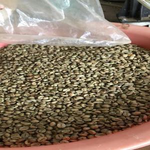 Premium Arabica Coffee Beans Available - coffee cocoa tea  we offer high-quality arabica coffee beans,  carefully processed to preserve their rich flavor and aroma. our beans are washed and sun-dried,  ensuring a clean,  consistent cup every time.--   product specifications---processing type- washed,  sun-dried--foreign matter-   0.1%--moisture content-   13%-