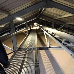  Fournisseur De Maïs - céréales à la recherche d'un fournisseur fiable de maïs pour l'alimentation animale ? nous vous proposons du maïs grain de qualité supérieure,  idéal pour vos élevages (bovins,  volailles,  porcs).----- caractéristiques - maïs jaune,  humidité < 15 %,  propre et tr