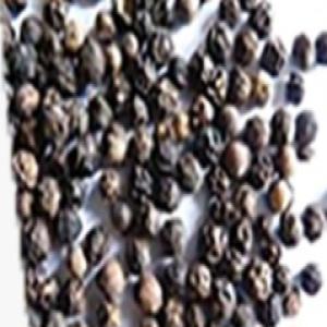  Vente De Poivre Noir 100% Bio En France - épices aromates bonjour chers tous. nous mettons en vente de la bonne qualité de poivre noir en grains /moulu sur la france. ce poivre est 100% biologique, cultivé ici en côte d ivoire. nos prix sont très concurrentiels. n hésitez pas à nous contacter en cas de besoin. --bien