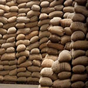  Vente 42.000 Tonne D'acajou Fob Gui Bissau - fruits secs et graines grillées nous  disposons d un stock renouvelable de 42.000 tonnes &agrave; vendre en fob guin&eacute;e-bissau.----modalit&eacute;s de vente -----enl&egrave;vement par tranches de 4.200 tonnes----prix actuel - 1.425 usd/tonne (ajustable selon le march&eacute;)----paiement cash ou bank to bank,  sur place,  sans